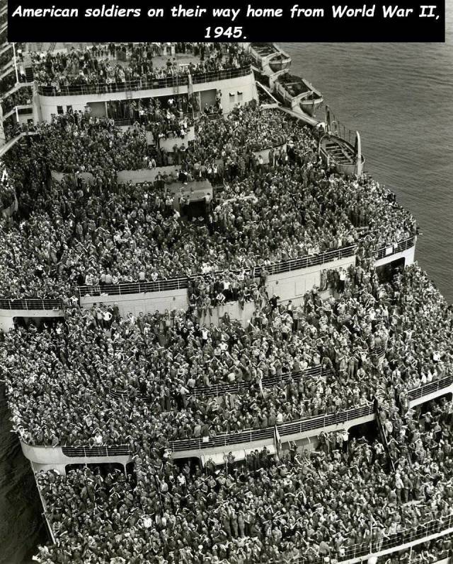 daily picdump 94 pics 38.html - 94 HD Photos | Premium Gallery 2018