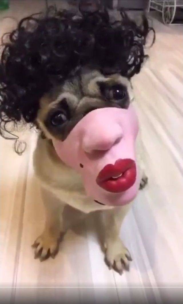 daily picdump 94 pics 38.html - 94 HD Photos | Premium Gallery 2018