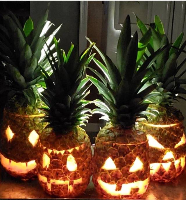 daily picdump 94 pics 38.html - 94 HD Photos | Premium Gallery 2018