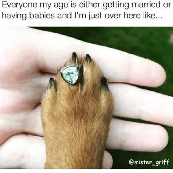 Singles Know How To Enjoy A Good Meme