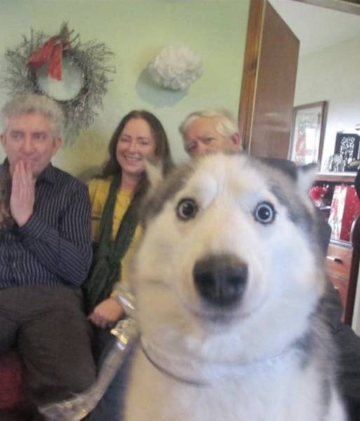 Daily Picdump