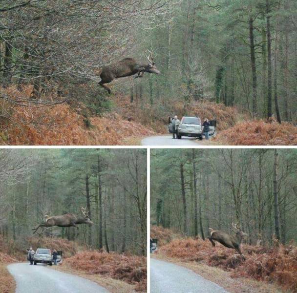 Daily Picdump