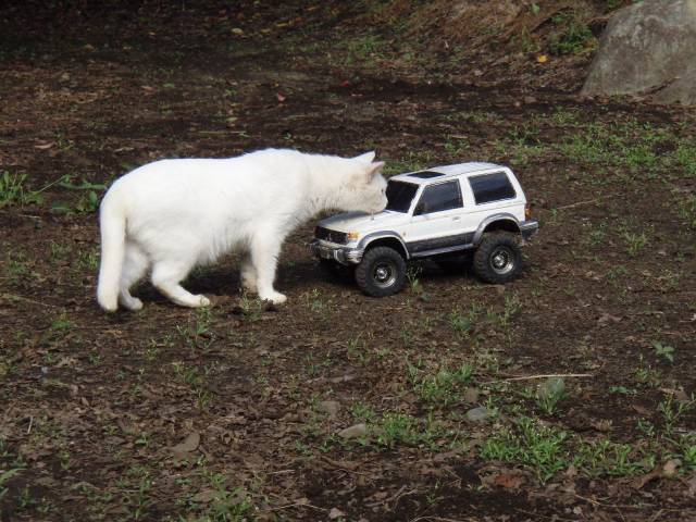 Daily Picdump