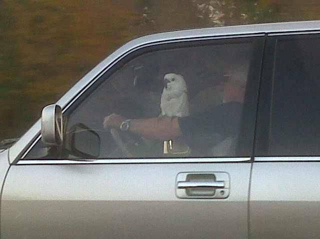 Daily Picdump
