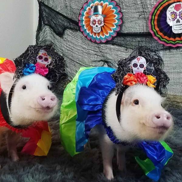 daily picdump 96 pics 4.html - 96 HD Photos | Premium Gallery 2018