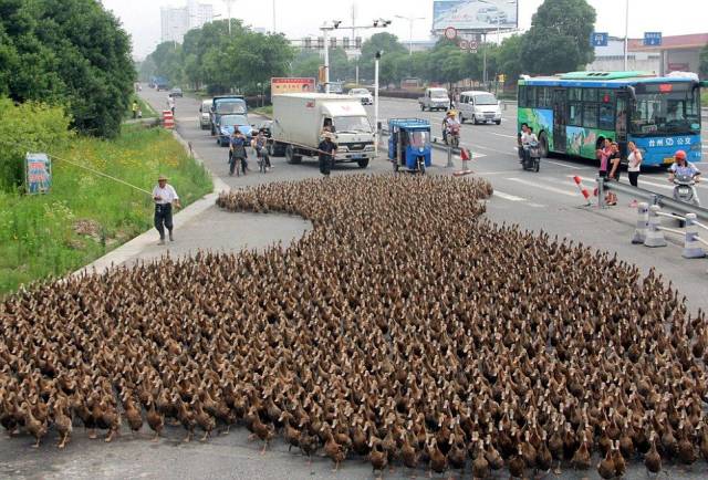 daily picdump 96 pics 4.html - 96 HD Photos | Premium Gallery 2018