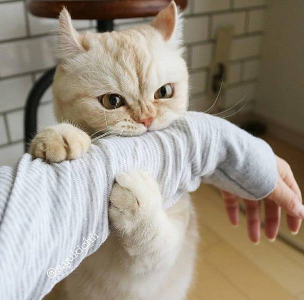 daily picdump 96 pics 4.html - 96 HD Photos | Premium Gallery 2018