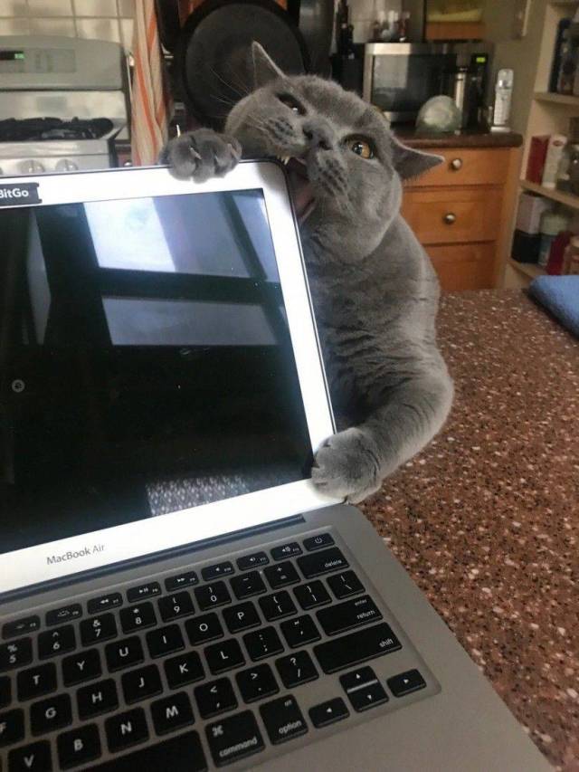 daily picdump 96 pics 4.html - 96 HD Photos | Premium Gallery 2018