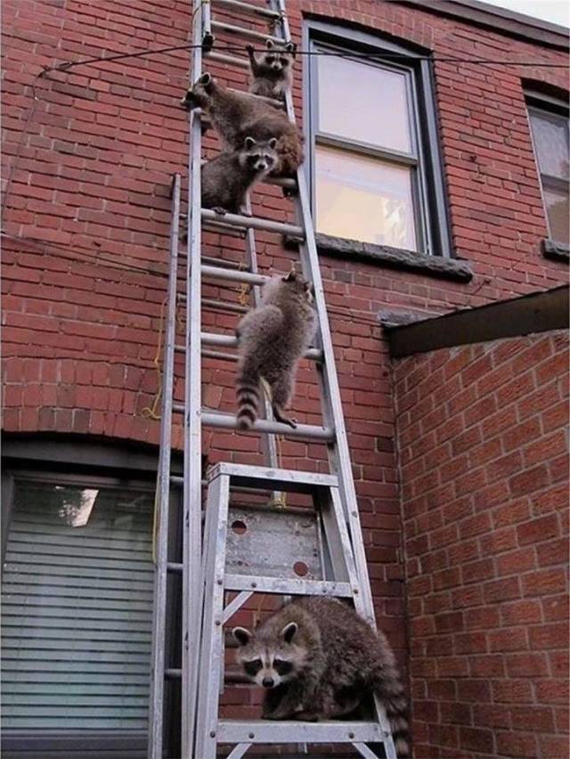 daily picdump 96 pics 4.html - 96 HD Photos | Premium Gallery 2018