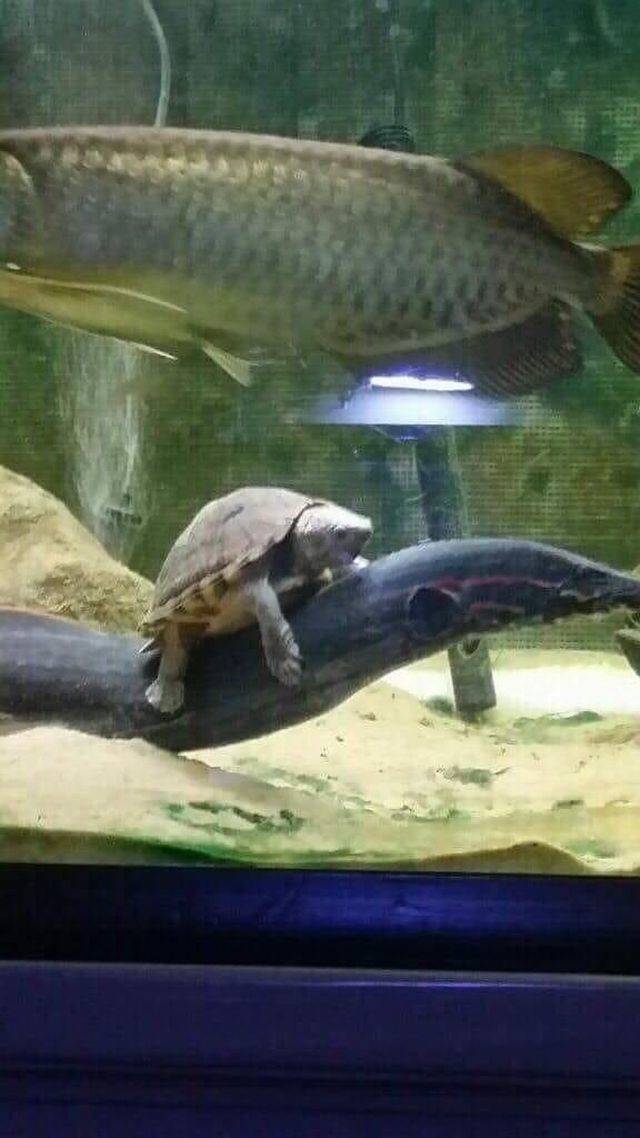 daily picdump 96 pics 4.html - 96 HD Photos | Premium Gallery 2018