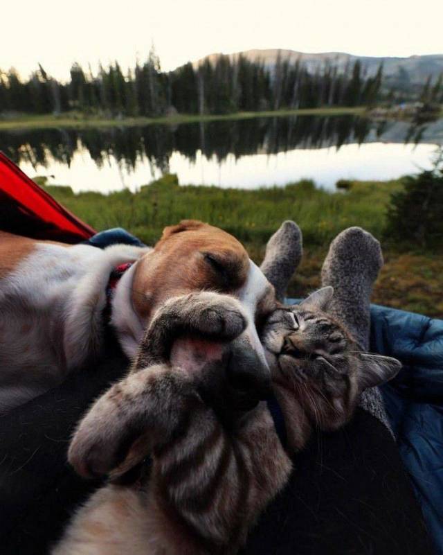 daily picdump 96 pics 4.html - 96 HD Photos | Premium Gallery 2018