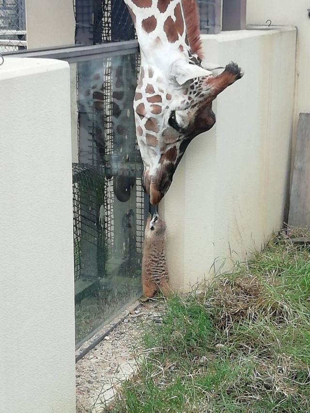 daily picdump 96 pics 4.html - 96 HD Photos | Premium Gallery 2018