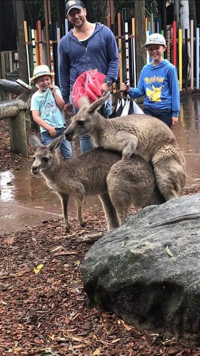 daily picdump 96 pics 4.html - 96 HD Photos | Premium Gallery 2018
