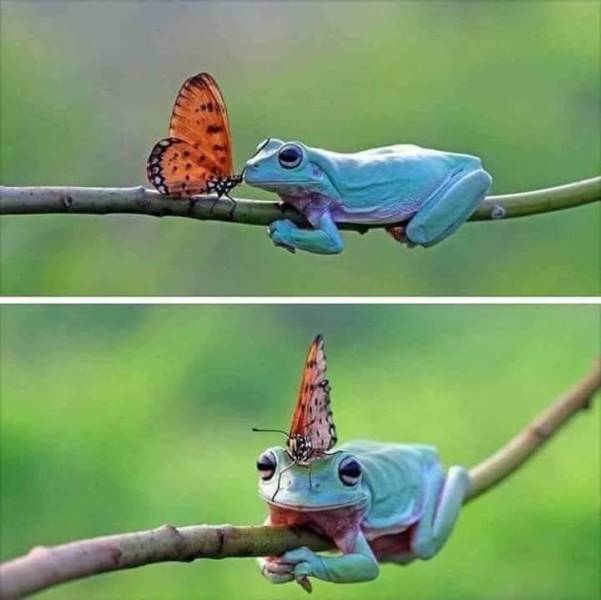 morning picdump 51 pics 17.html - 51 HD Photos | Premium Gallery 2018