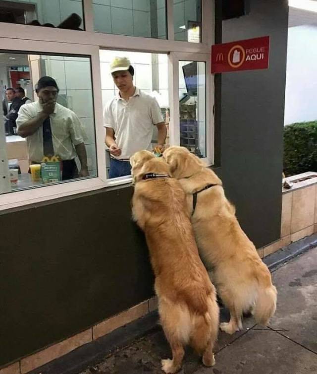 morning picdump 51 pics 17.html - 51 HD Photos | Premium Gallery 2018