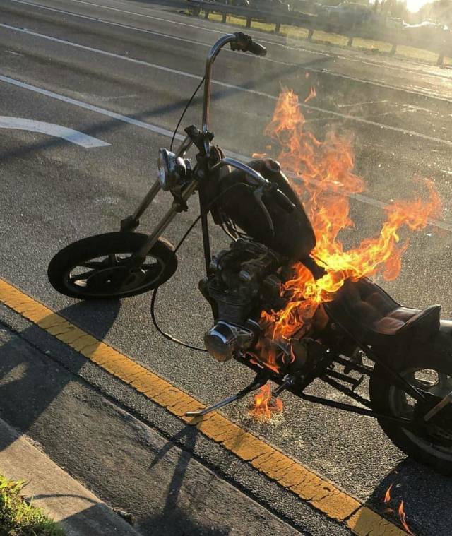 morning picdump 51 pics 17.html - 51 HD Photos | Premium Gallery 2018