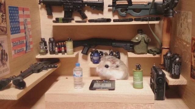 daily picdump 98 pics 37.html - 98 HD Photos | Premium Gallery 2018