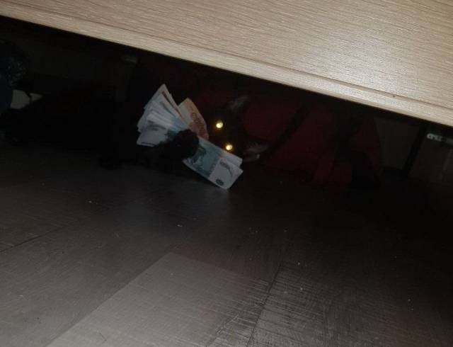 daily picdump 98 pics 37.html - 98 HD Photos | Premium Gallery 2018