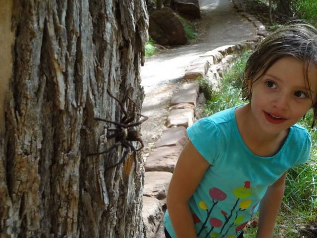 daily picdump 98 pics 37.html - 98 HD Photos | Premium Gallery 2018