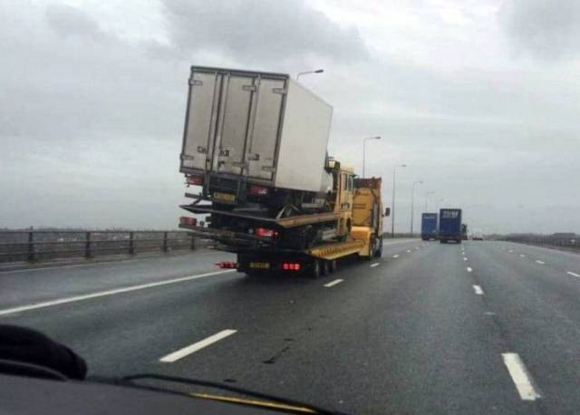 daily picdump 98 pics 37.html - 98 HD Photos | Premium Gallery 2018