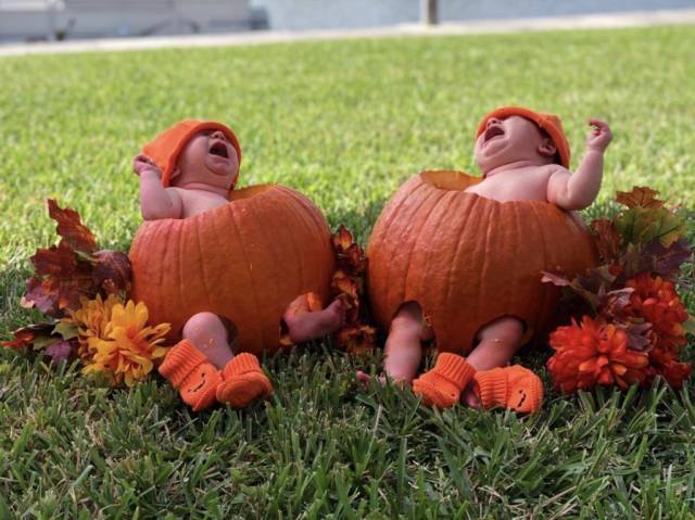 daily picdump 98 pics 37.html - 98 HD Photos | Premium Gallery 2018