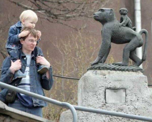 daily picdump 98 pics 37.html - 98 HD Photos | Premium Gallery 2018