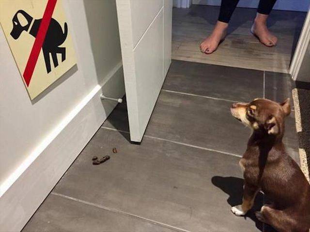 daily picdump 98 pics 37.html - 98 HD Photos | Premium Gallery 2018