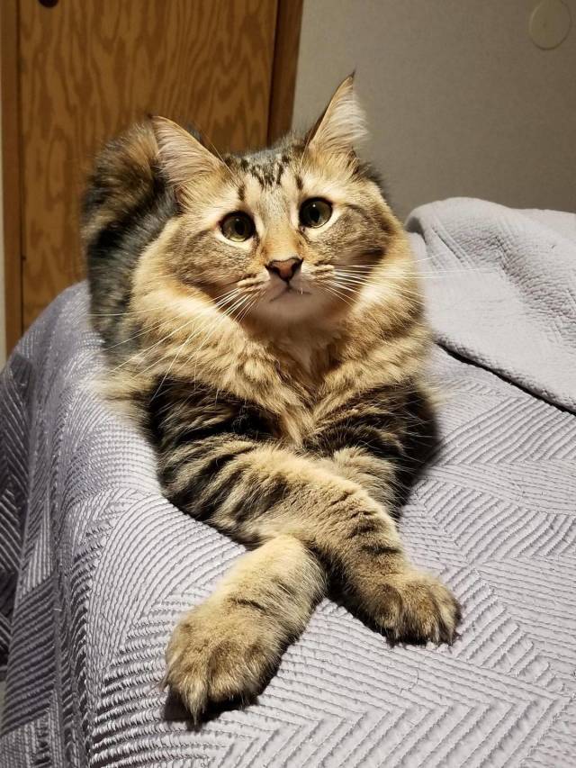 daily picdump 98 pics 37.html - 98 HD Photos | Premium Gallery 2018