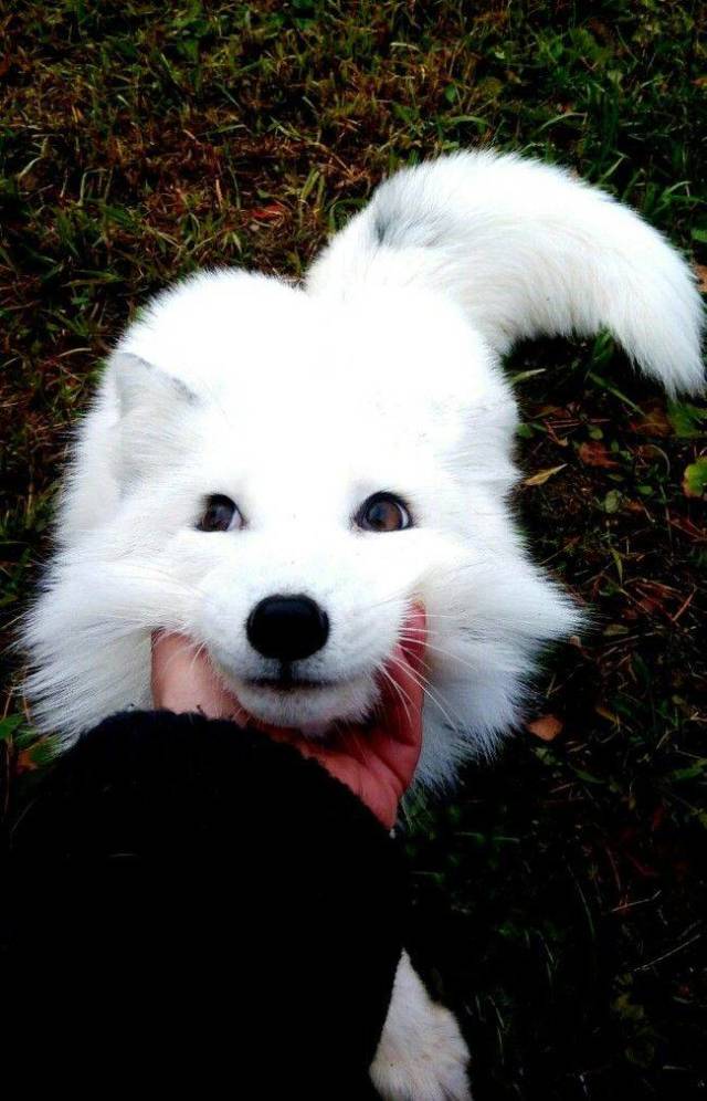 daily picdump 98 pics 37.html - 98 HD Photos | Premium Gallery 2018