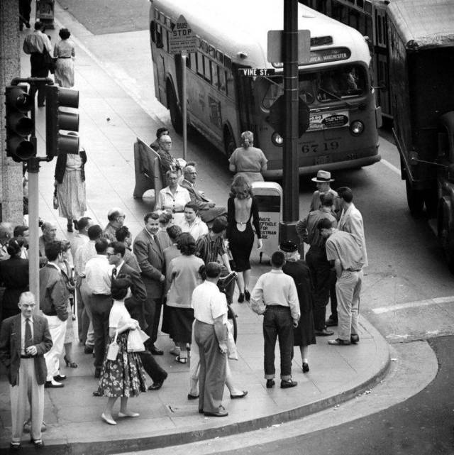 daily picdump 98 pics 37.html - 98 HD Photos | Premium Gallery 2018