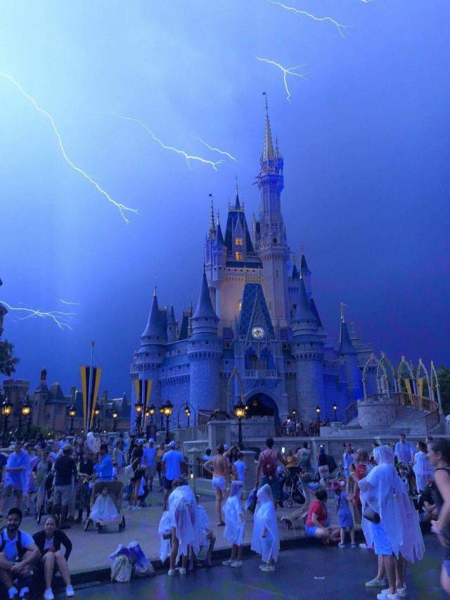 daily picdump 98 pics 37.html - 98 HD Photos | Premium Gallery 2018