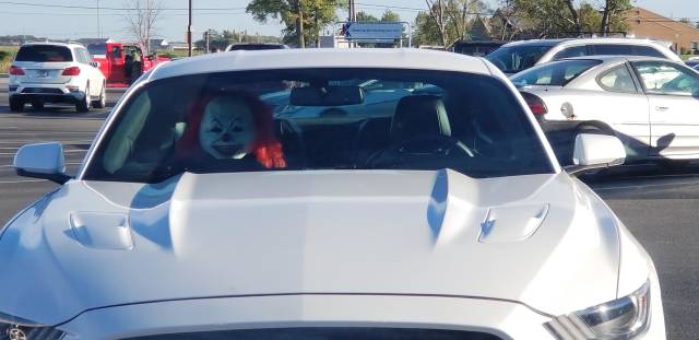 morning picdump 50 pics 18.html - 50 HD Photos | Premium Gallery 2018