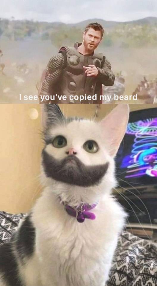 Morning Picdump