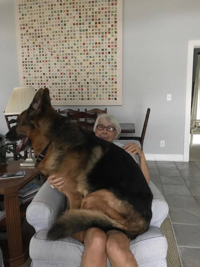 morning picdump 50 pics 18.html - 50 HD Photos | Premium Gallery 2018