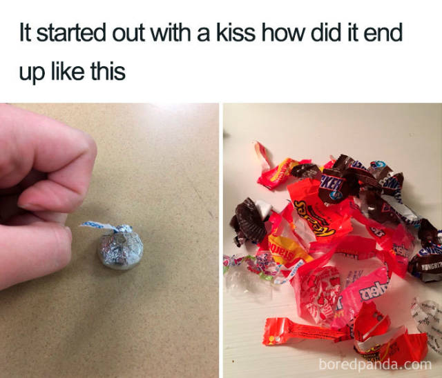 You Know You Like Both Food And Memes
