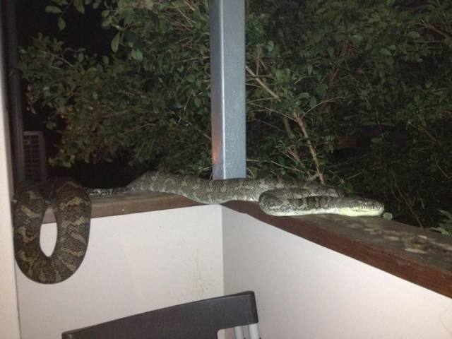 daily picdump 102 pics 16.html - 102 HD Photos | Premium Gallery 2018