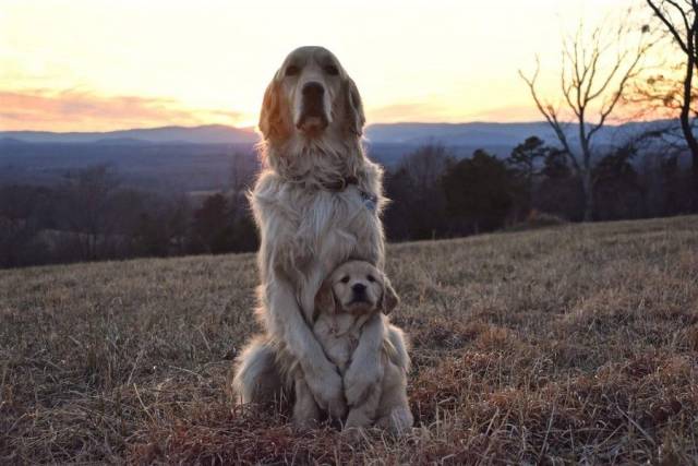 daily picdump 102 pics 16.html - 102 HD Photos | Premium Gallery 2018