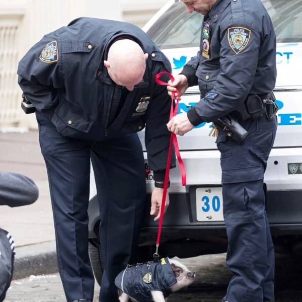 daily picdump 102 pics 16.html - 102 HD Photos | Premium Gallery 2018