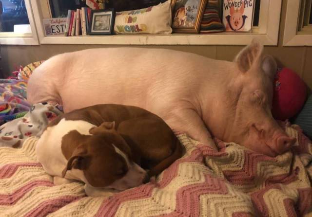 daily picdump 102 pics 16.html - 102 HD Photos | Premium Gallery 2018