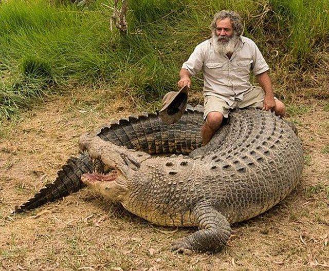 daily picdump 102 pics 16.html - 102 HD Photos | Premium Gallery 2018