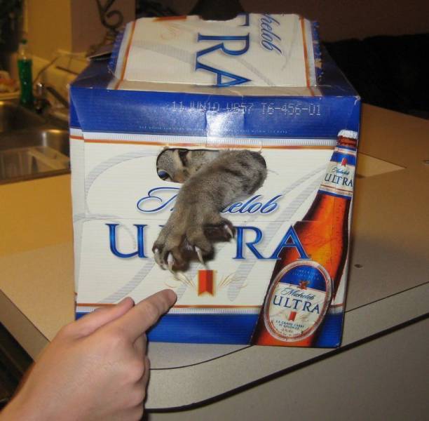 daily picdump 102 pics 16.html - 102 HD Photos | Premium Gallery 2018