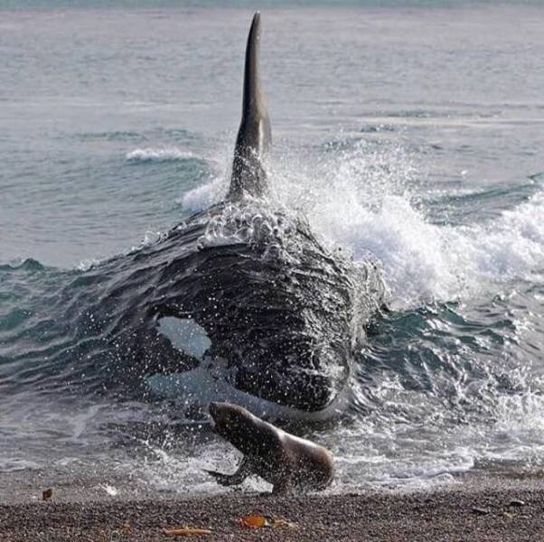 daily picdump 102 pics 16.html - 102 HD Photos | Premium Gallery 2018