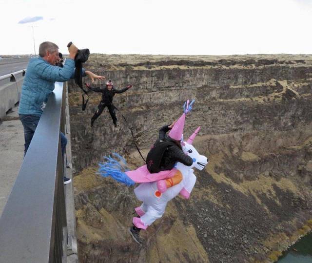 daily picdump 102 pics 16.html - 102 HD Photos | Premium Gallery 2018