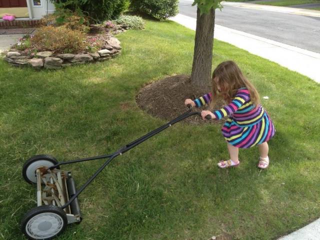 daily picdump 102 pics 16.html - 102 HD Photos | Premium Gallery 2018