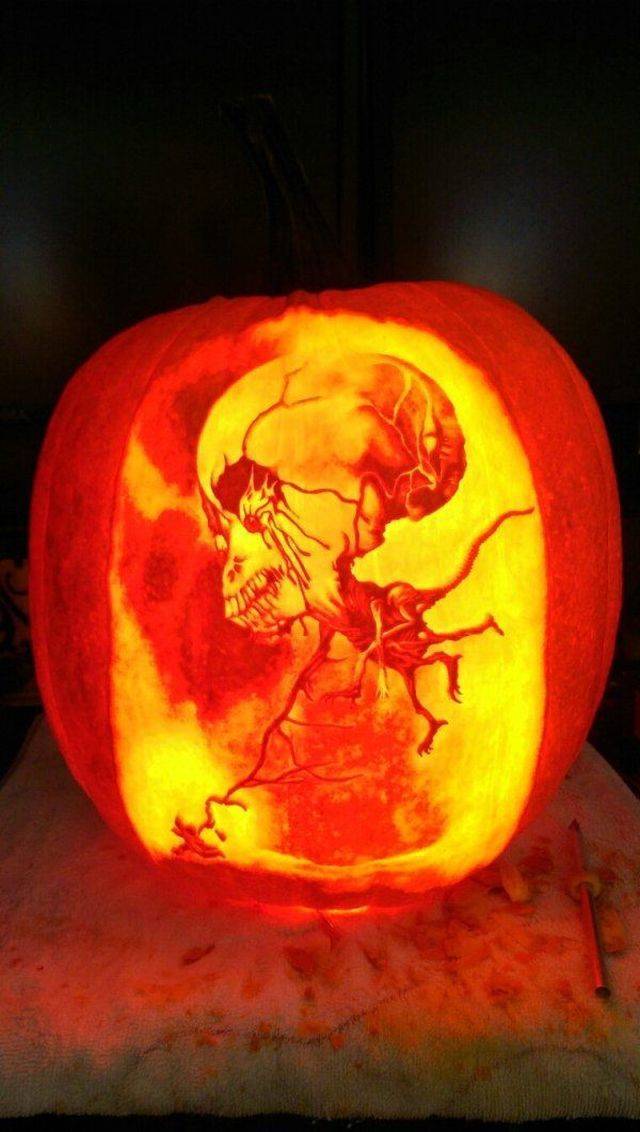 daily picdump 102 pics 16.html - 102 HD Photos | Premium Gallery 2018