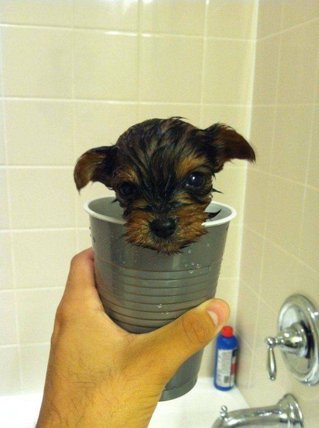 daily picdump 102 pics 16.html - 102 HD Photos | Premium Gallery 2018