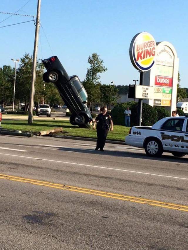 daily picdump 102 pics 16.html - 102 HD Photos | Premium Gallery 2018