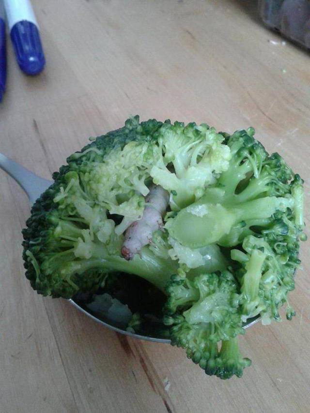 daily picdump 102 pics 16.html - 102 HD Photos | Premium Gallery 2018