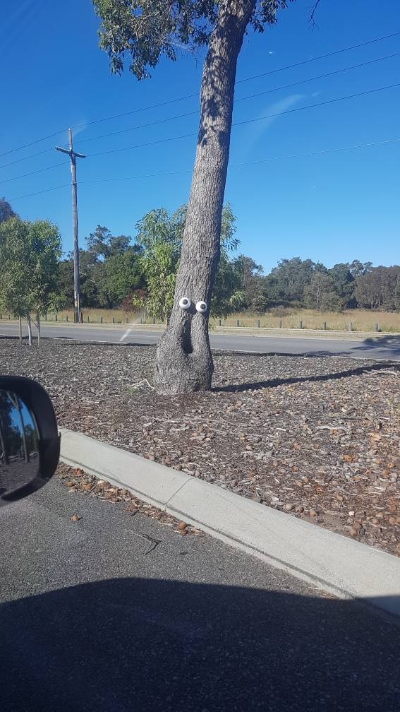 morning picdump 51 pics 3.html - 51 HD Photos | Premium Gallery 2018