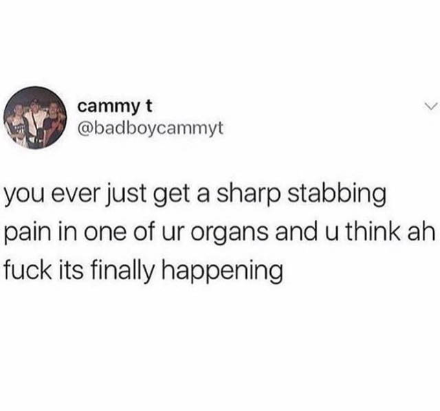funny picdump 50 pics 23.html - 50 HD Photos | Premium Gallery 2018